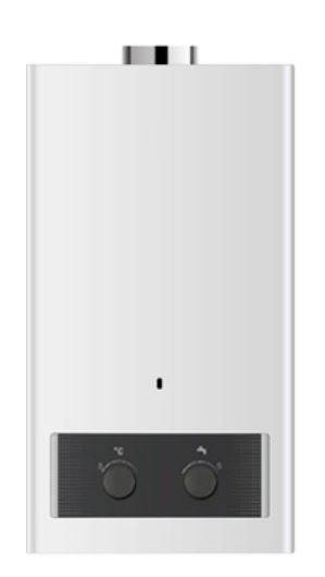 CALENTADOR ATMOSFÉRICO BUT/PRO APOLO 10L