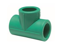 [481119110] TE PPR 110 PN25 TORO 25