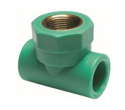 [481123021] TE ROSCA H PPR 20x3/4"x20 PN25 TORO 25