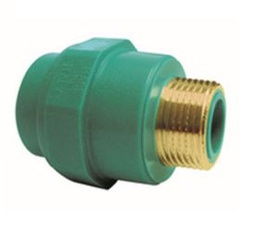 [481125026] RACOR FIJO M PPR 25x3/4" PN25 TORO 25